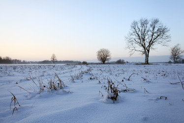 Similar image 10534124