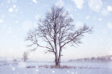 Similar image 10534127