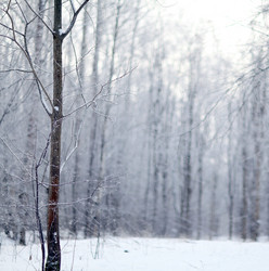 Similar image 10534130