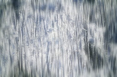 Similar image 10534132