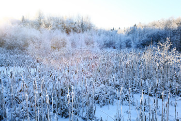 Similar image 10534138