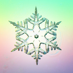 Similar image 10534140