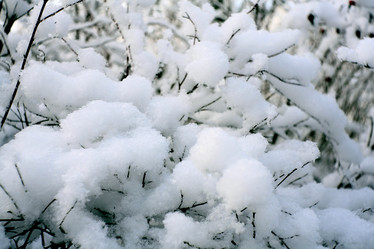 Similar image 10534141