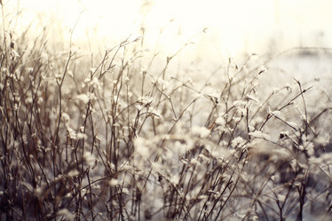 Similar image 10534144