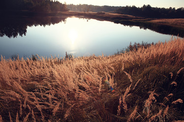 Similar image 10534231