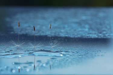 Similar image 10534259