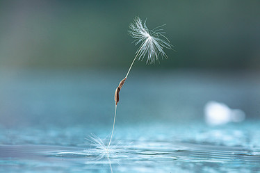 Similar image 10534260