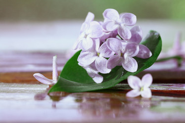 Similar image 10534261