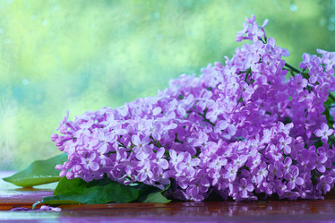 Similar image 10534263