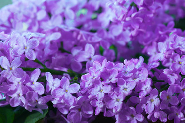 Similar image 10534264