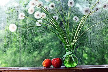 Similar image 10534269