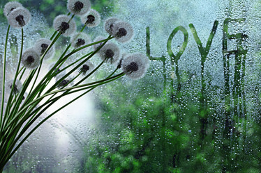 Similar image 10534270