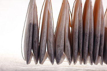 Similar image 10534307