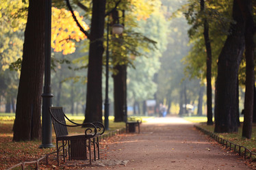 Similar image 10534325