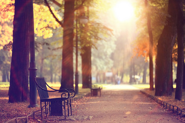 Similar image 10534329