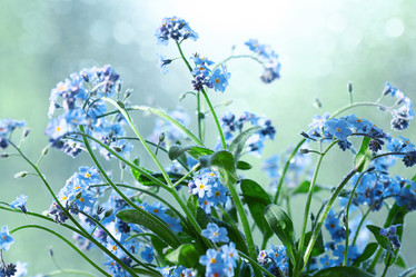 Similar image 10534328