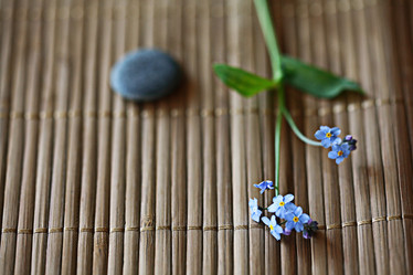 Similar image 10534341