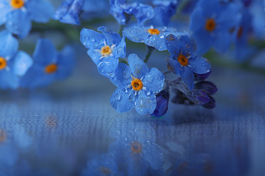 Similar image 10534343