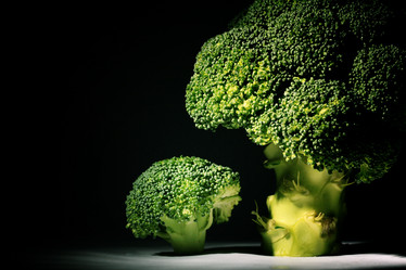 Similar image 10534354