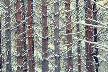 Similar image 10534355