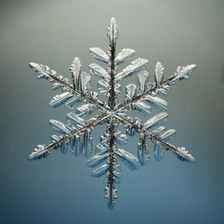 Similar image 10534356