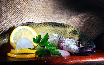 Similar image 10534357