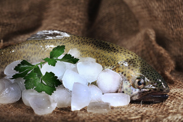 Similar image 10534362