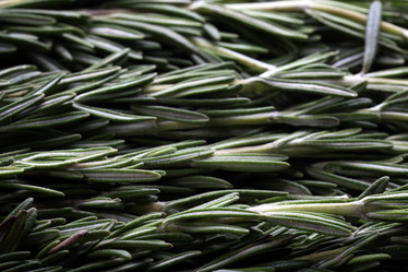 Similar image 10534372