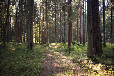 Similar image 10534527