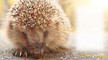 Similar image 10534579