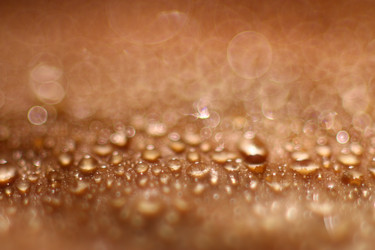 Similar image 10534585