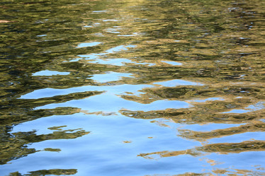 Similar image 10534588