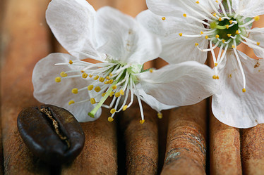 Similar image 10534649