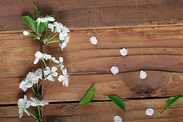 Similar image 10534653