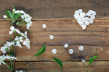 Similar image 10534654