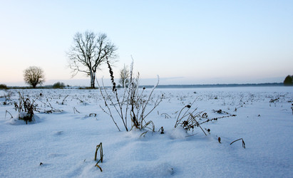 Similar image 10534662