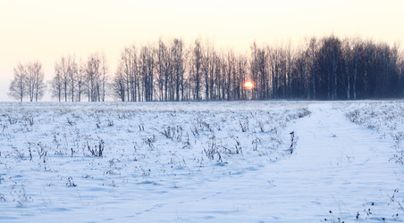 Similar image 10534663