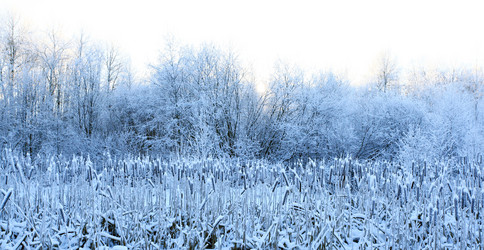 Similar image 10534703