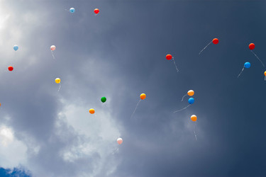 Similar image 10534712