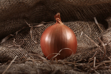 Similar image 10534765