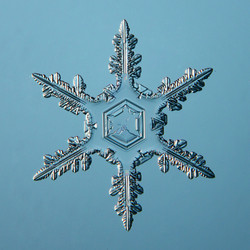 Similar image 10534770