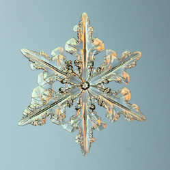 Similar image 10534774