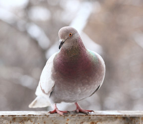 Similar image 10534777