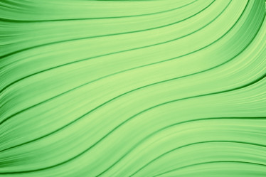 Similar image 10534877