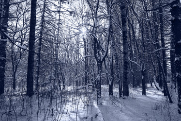 Similar image 10534878