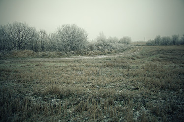 Similar image 10534925