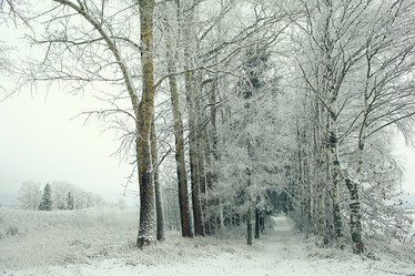 Similar image 10534926