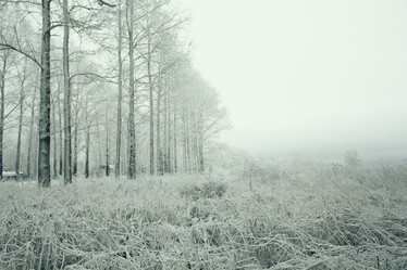 Similar image 10534927