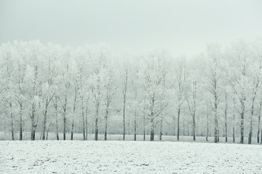 Similar image 10534928