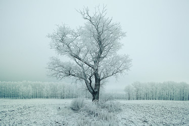 Similar image 10534931